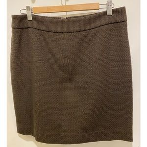 Ann Taylor skirt